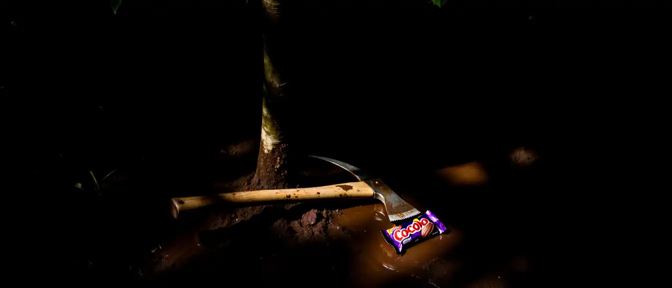 Тень на шоколадном бренде: американскому офису Lindt грозит суд из-за обвинений в эксплуатации детей